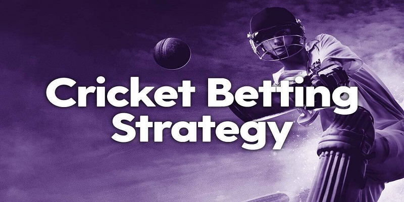 Master the Game: Top Cricket Betting Strategies for Beginners